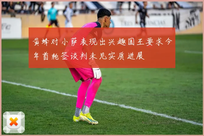 黄蜂对小萨表现出兴趣国王要求今年首轮签谈判未见实质进展