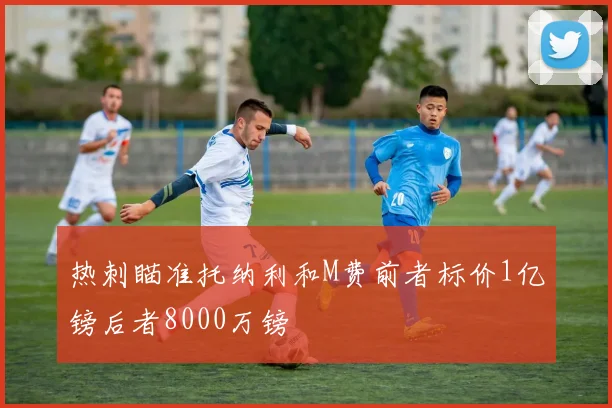 热刺瞄准托纳利和M费前者标价1亿镑后者8000万镑
